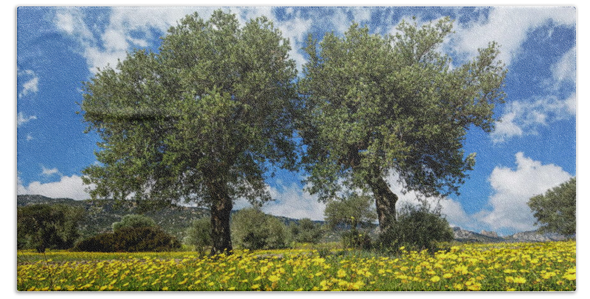 Estock Bath Towel featuring the digital art Olive Trees, Near Kantara, Cyprus by Reinhard Schmid
