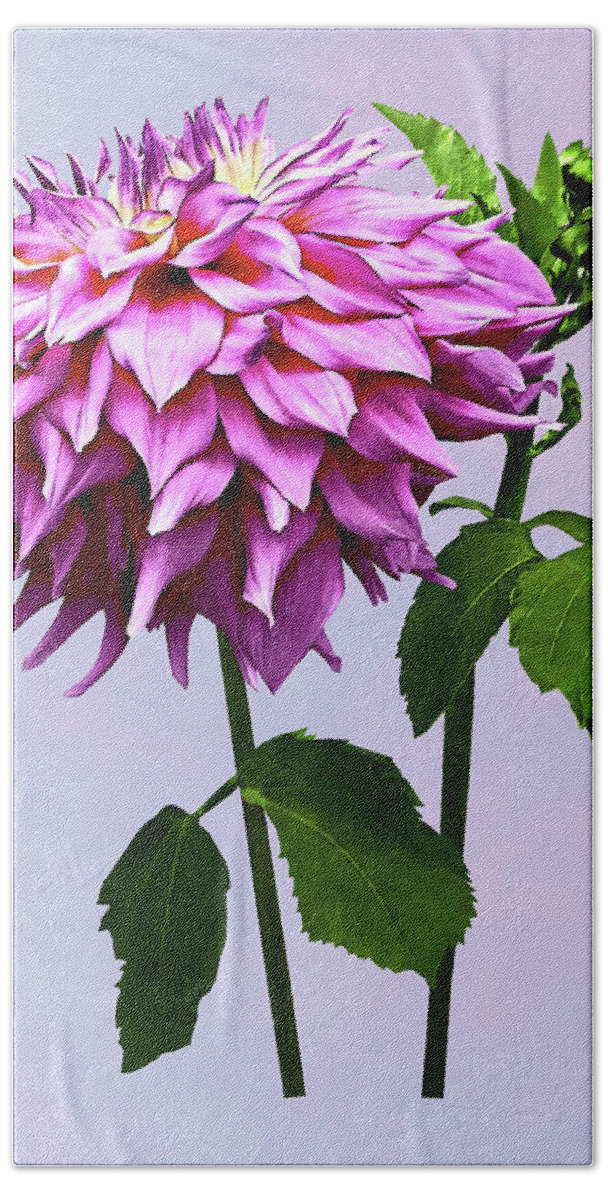 Dahlia Bath Towel featuring the photograph One Pink Dahlia and Buds by Susan Savad