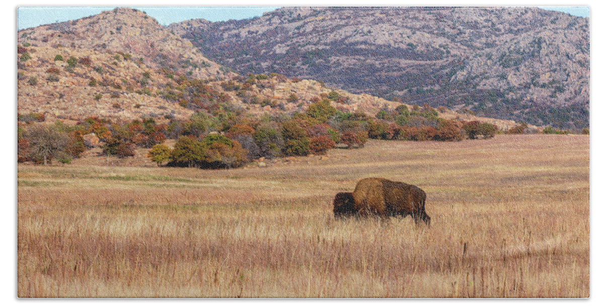 Landscape Hand Towel featuring the photograph Open Range by Doug Long