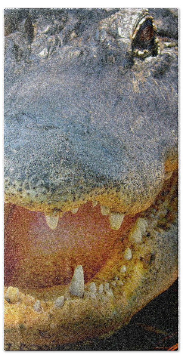 Alligator Bath Towel featuring the photograph Open Wide by Mark Andrew Thomas