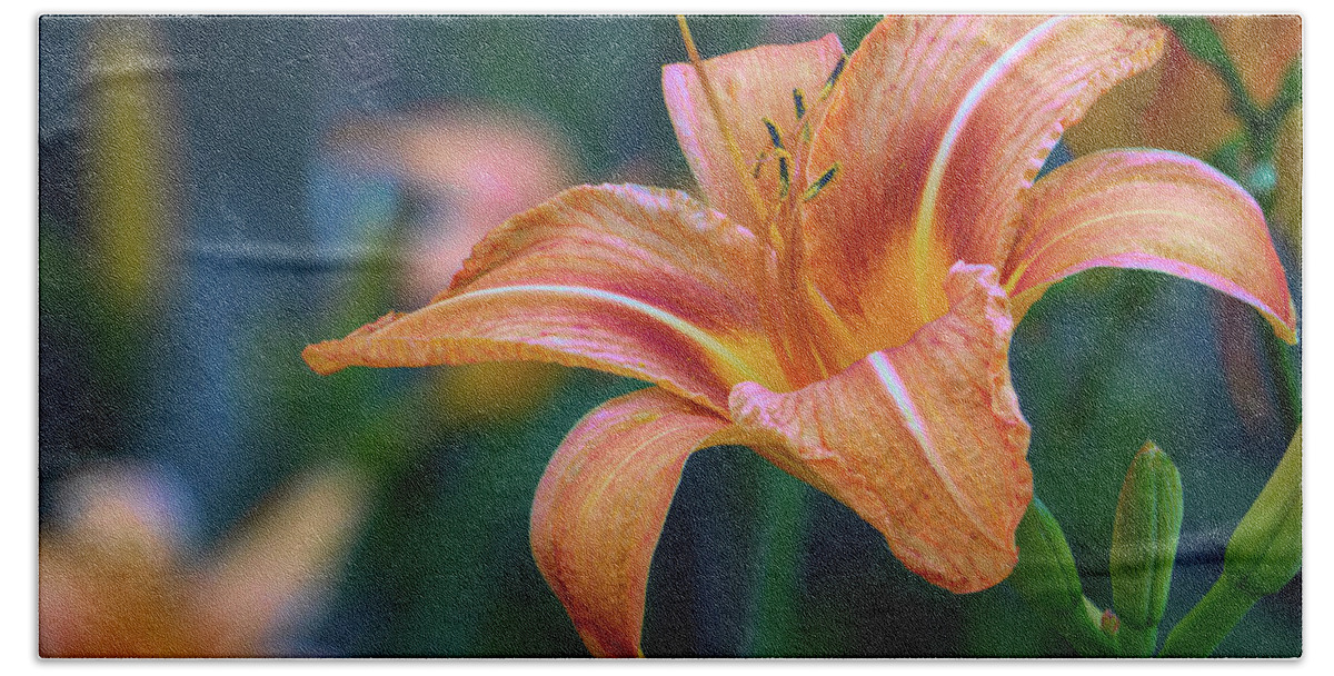 Day Lily Hand Towel featuring the photograph Orange Lily Detailed Petals by Jason Fink