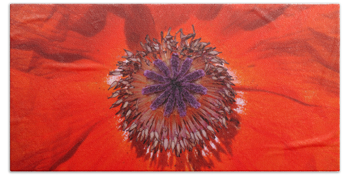Orange Bath Towel featuring the photograph Orange Poppy by Roger Snyder