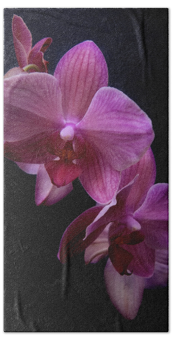 Floral Bath Towel featuring the photograph Orchid 10 by Rosette Doyle