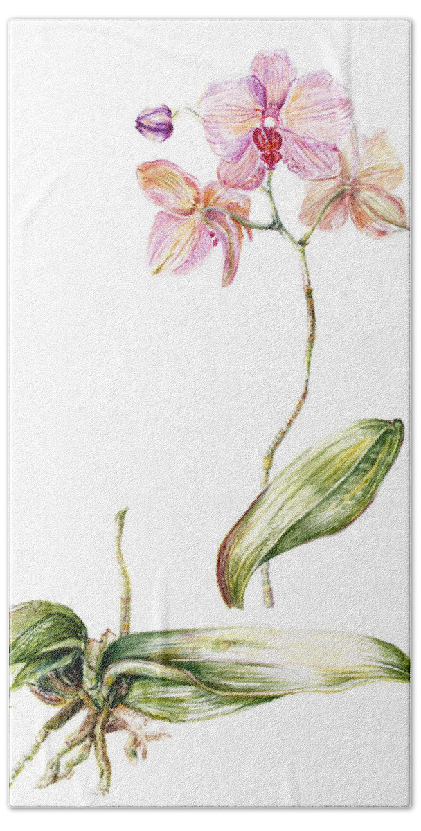 Orchid Bath Towel featuring the painting Orchid by Gloria Newlan
