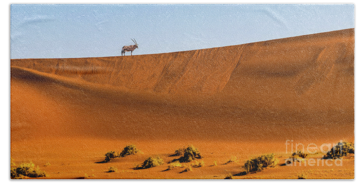Gemsbok Bath Towel featuring the photograph Oryx on the dune, Namibia by Lyl Dil Creations