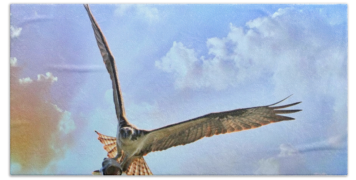 Osprey Hand Towel featuring the photograph Osprey with Fish Head On by Carol Groenen