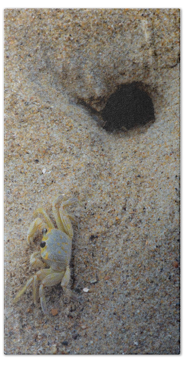 Crab Bath Towel featuring the photograph Outer Banks Ghost Crab by Lora J Wilson