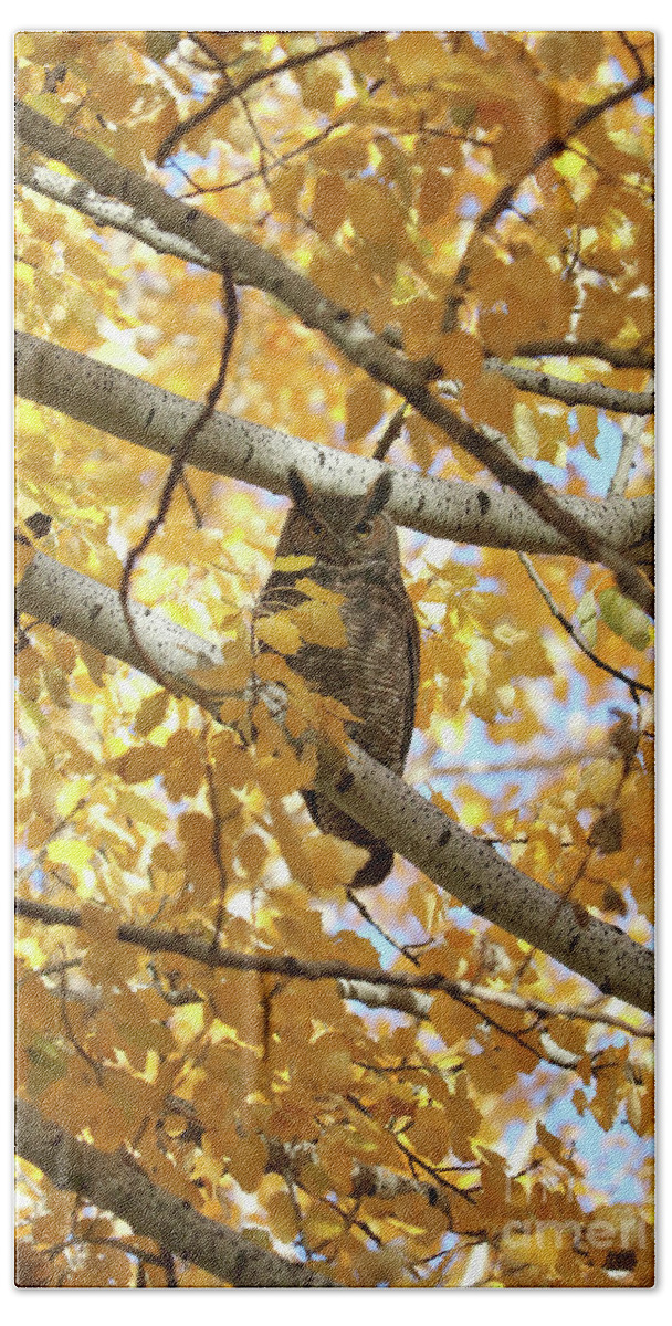 Owl Hand Towel featuring the photograph Owl Hiding in Autumn Tree by Carol Groenen