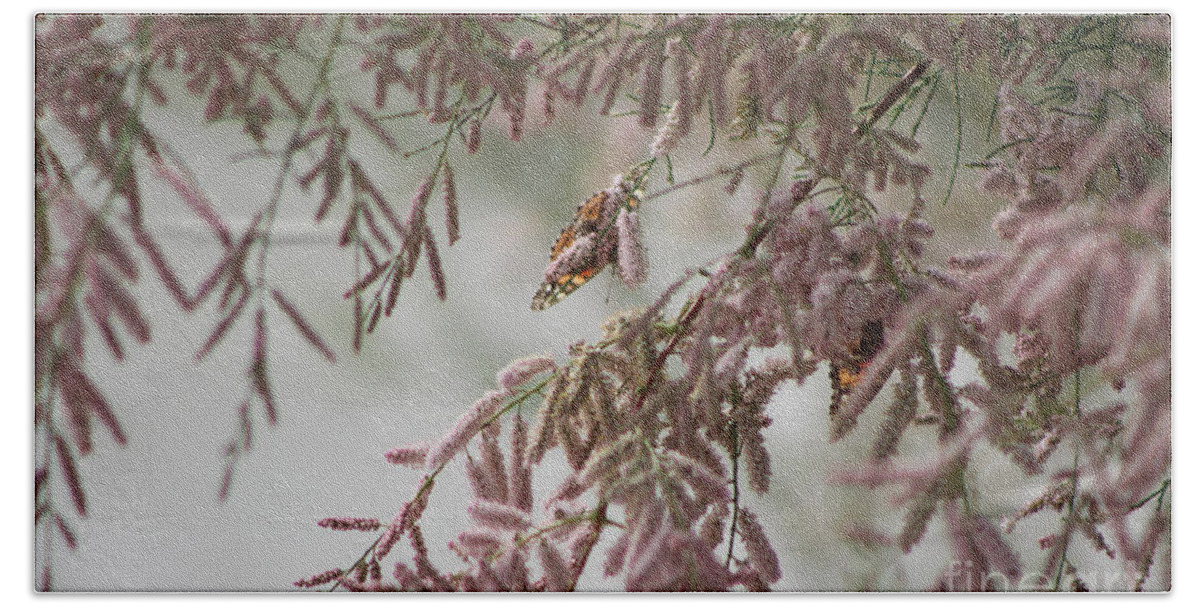 Peony Pink Bath Towel featuring the photograph Painted Lady Butterflies on Pink Chinese Saltcedar by Colleen Cornelius