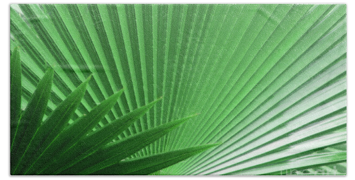 Nature Bath Towel featuring the photograph Palm Leaf by Mariarosa Rockefeller