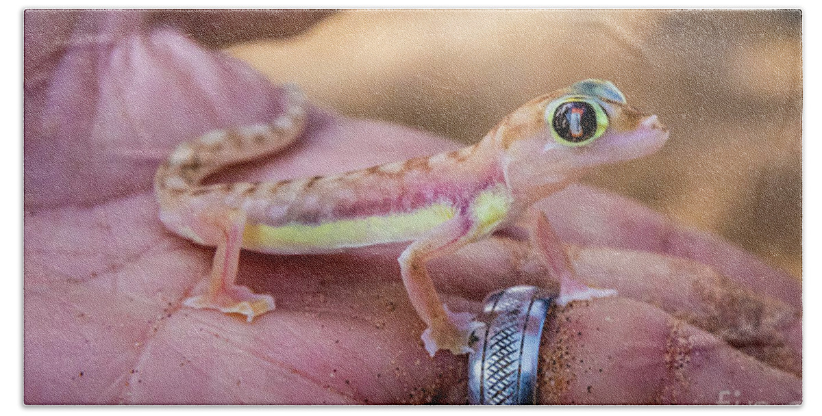 Gecko Bath Towel featuring the photograph Palmato gecko, Namib Desert by Lyl Dil Creations
