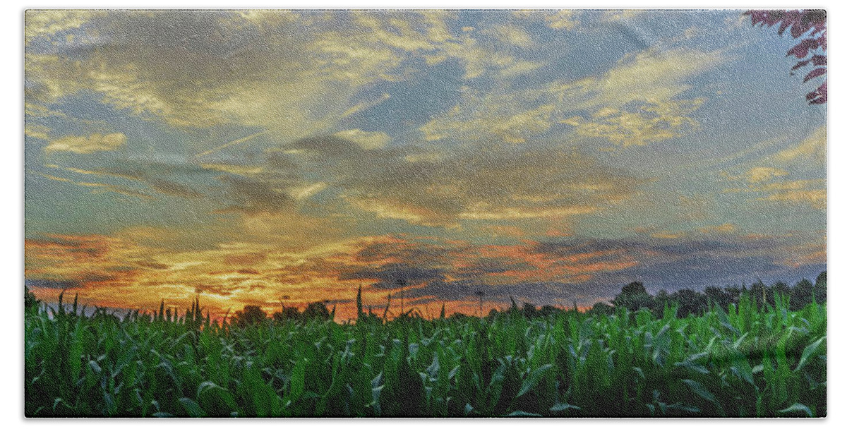 Sunset Hand Towel featuring the photograph Panoramic Cornfield Sunset by Jason Fink