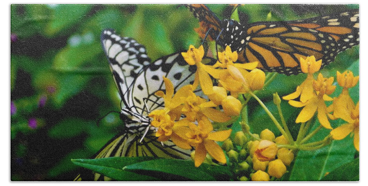 - Paper Kite And Monarch Butterfly Hand Towel featuring the photograph - Paper Kite and Monarch Butterfly by THERESA Nye