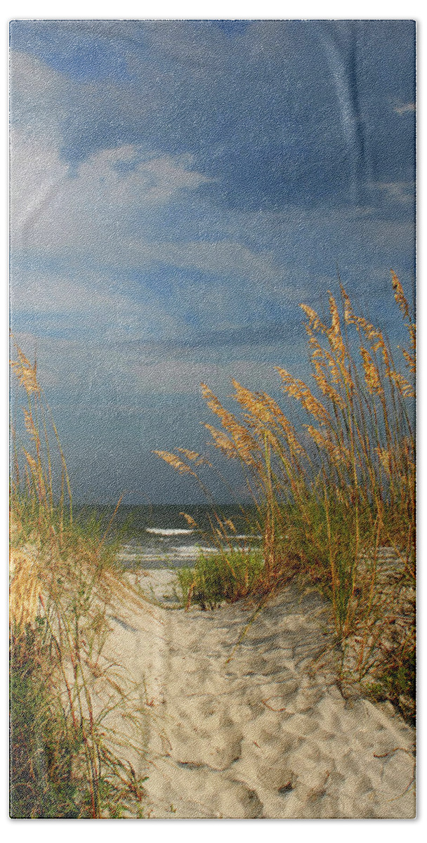 Ocean Hand Towel featuring the photograph Path to the Ocean by Jerry Griffin