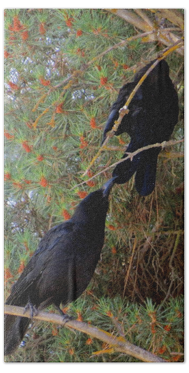 Corvus Brachyrhynchos Bath Towel featuring the photograph Pay attention to me by Jean Evans