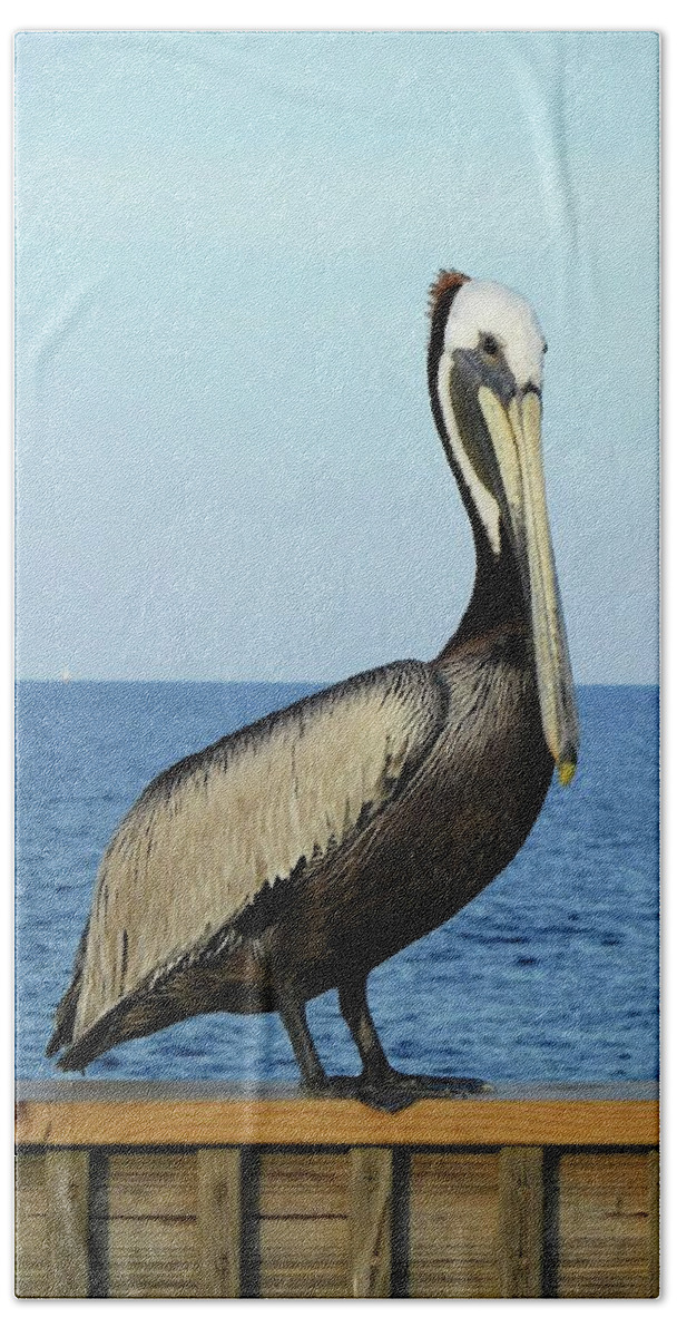 Birds Bath Towel featuring the photograph Pelican Portrait II by Karen Stansberry