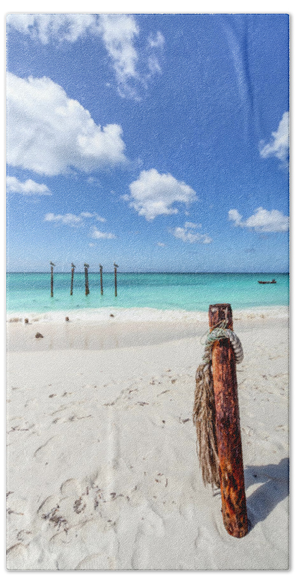 Aruba Bath Towel featuring the photograph Pelicans Perch by David Letts