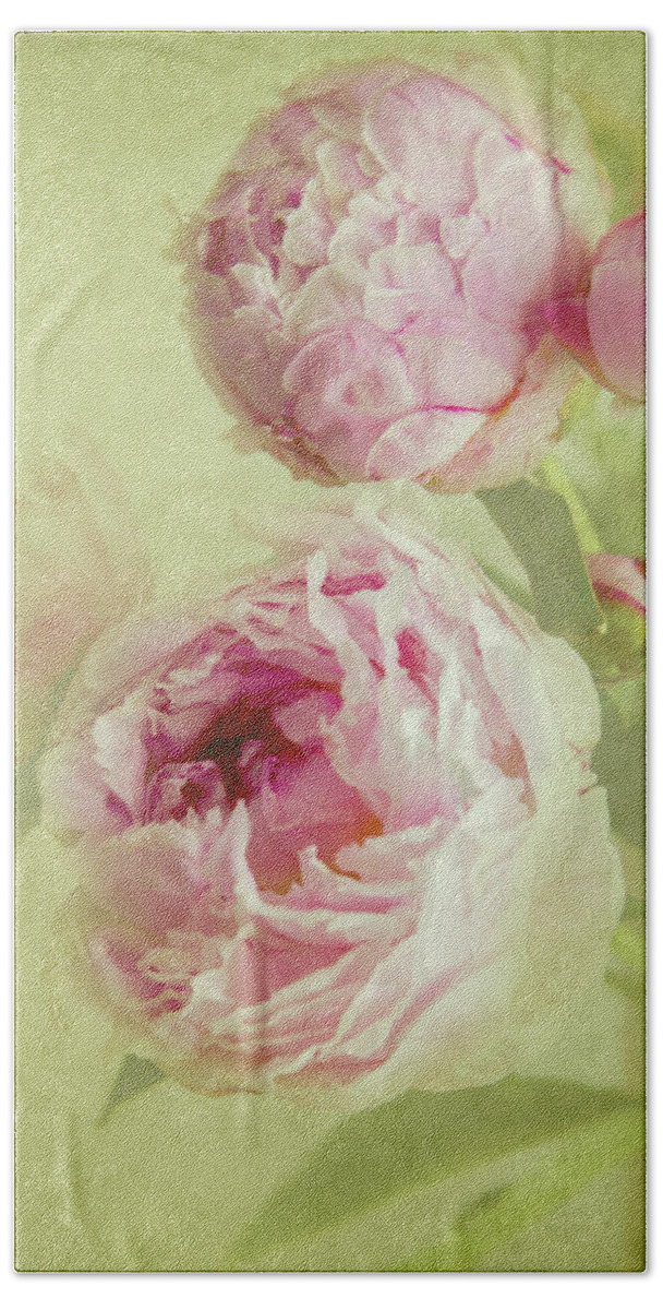 Wall Art Hand Towel featuring the photograph Peonies by Diane Fifield