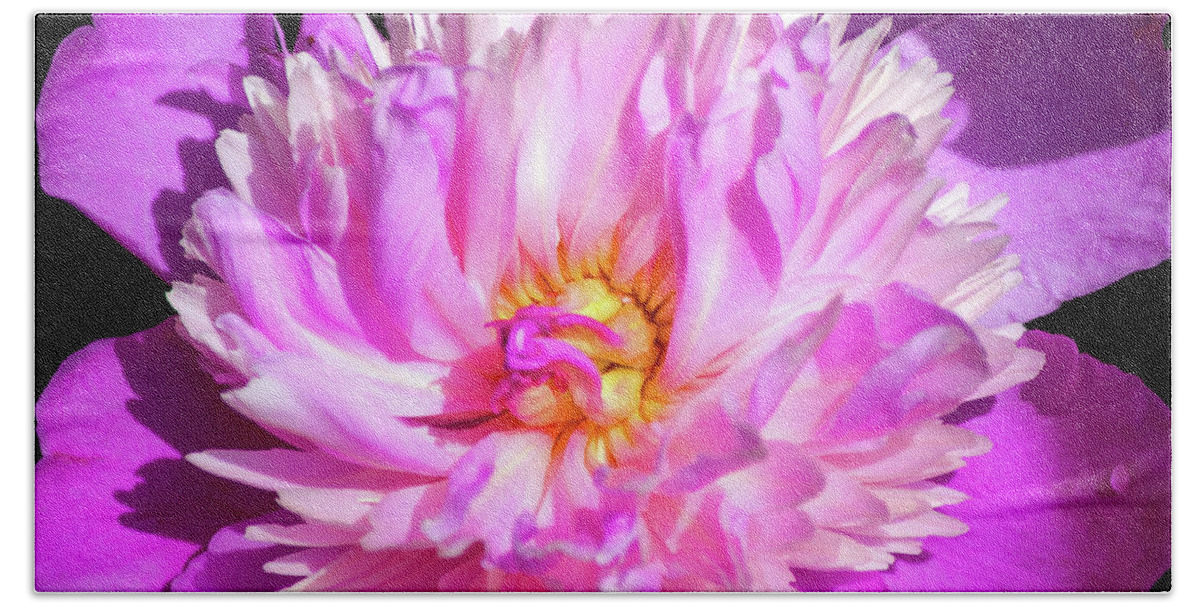 Peony Bath Towel featuring the photograph Peony Flower by Christina Rollo