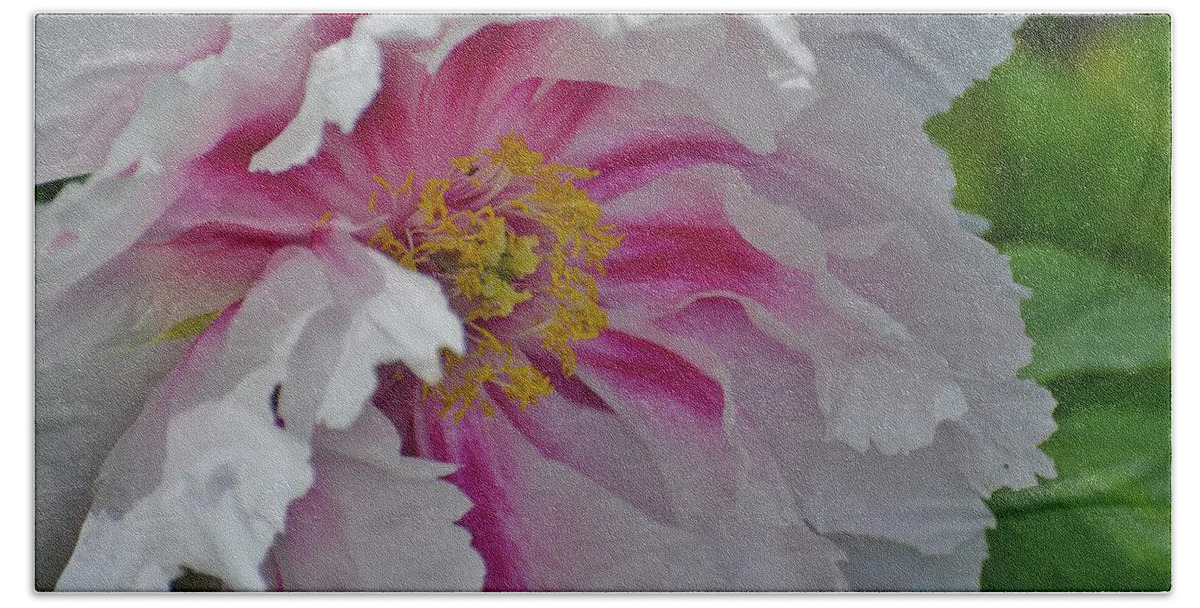 Flowers Bath Towel featuring the photograph Peony by Joan Septembre