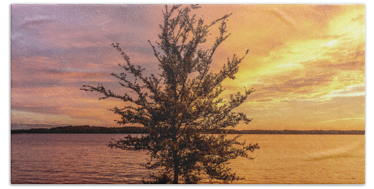 Percy Priest Lake Hand Towel featuring the photograph Percy Priest Lake Sunset Young Tree by D K Wall
