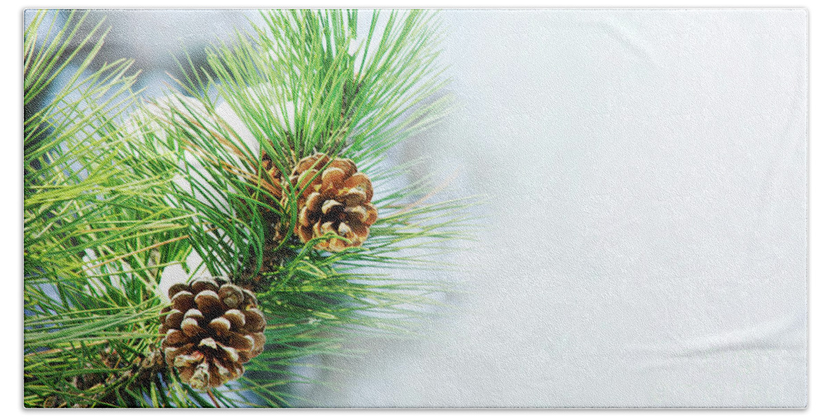 Pine Bath Towel featuring the photograph Pine Cone On Fir Tree Brunch Under Snow by Jelena Jovanovic