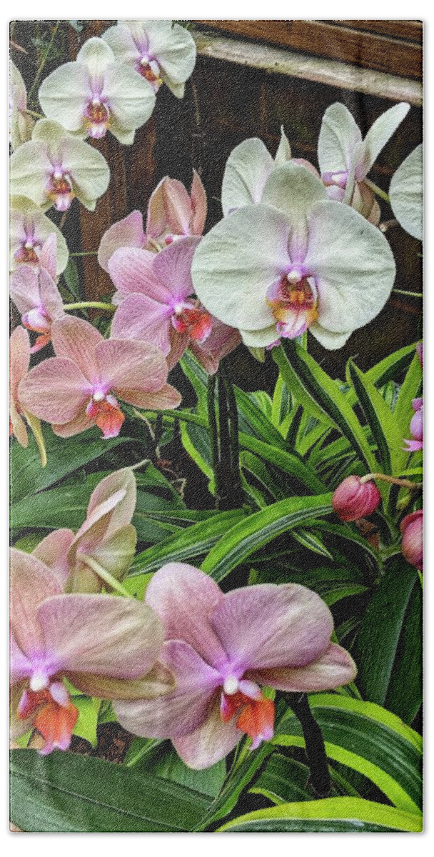 Flower Bath Towel featuring the photograph Pink and White Orchids by Portia Olaughlin