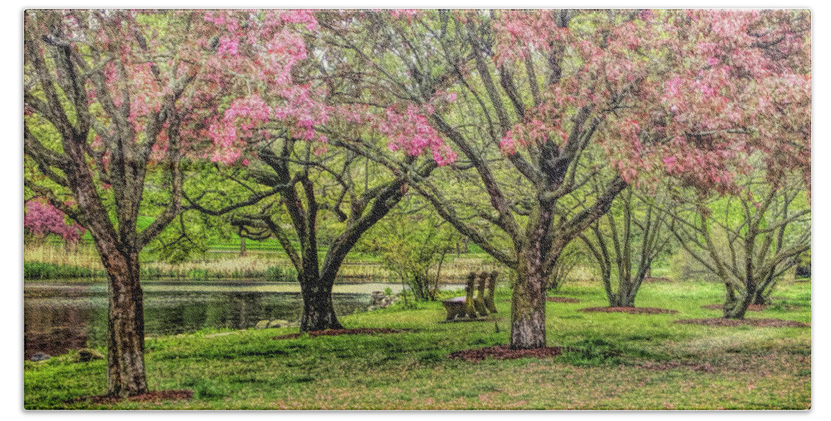 Bruce Park Bath Towel featuring the photograph Pink blossoms in Greenwich Connecticut by Cordia Murphy