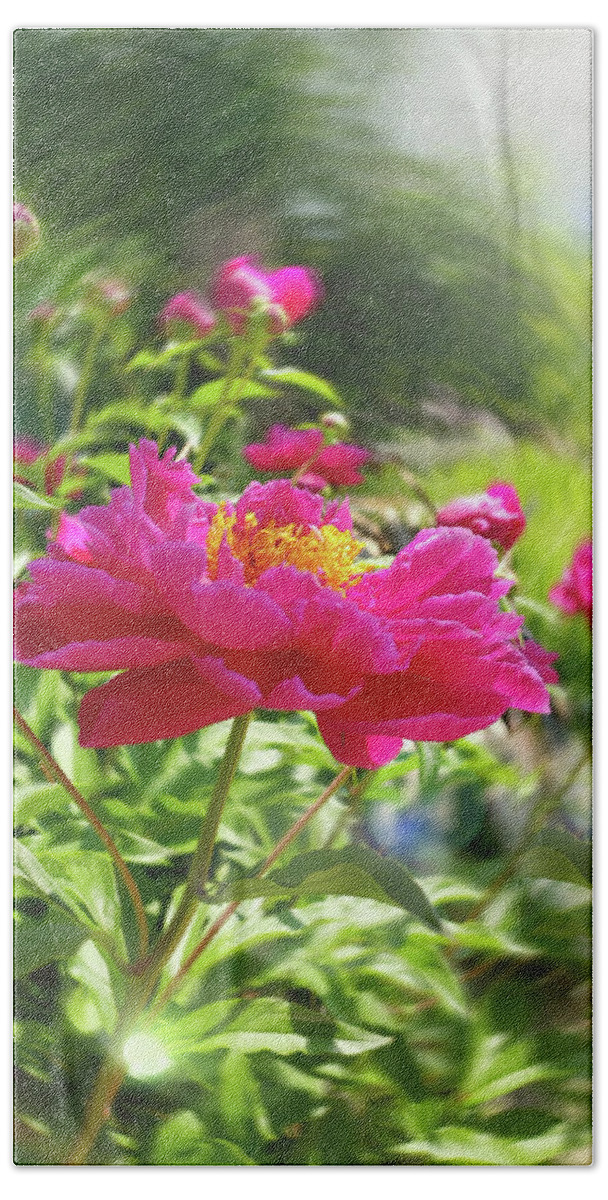 Art Bath Towel featuring the photograph Pink Peonies by Joan Han