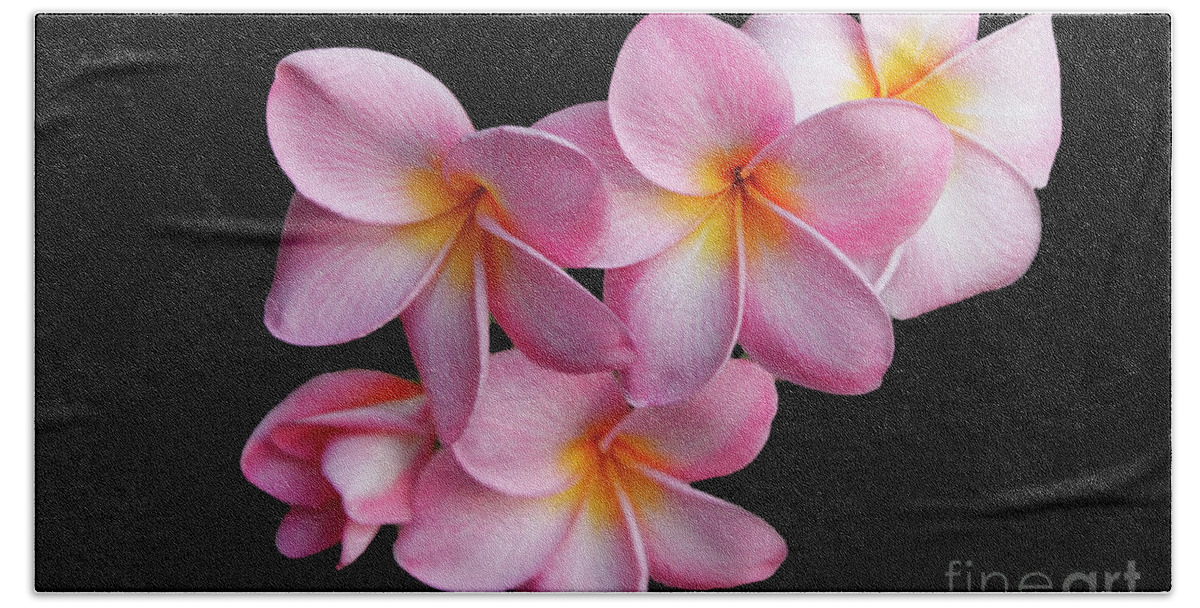 Nature Bath Towel featuring the photograph Pink Plumeria by Mariarosa Rockefeller