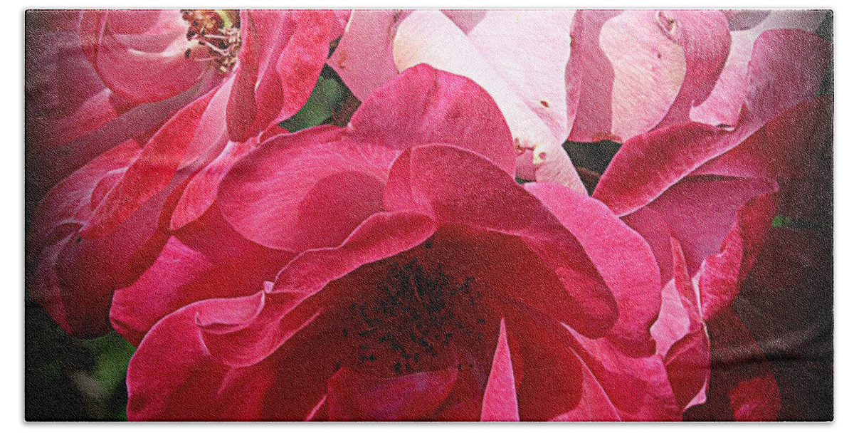 Nature Bath Towel featuring the photograph Pink Roses for Valentine's by Dora Sofia Caputo