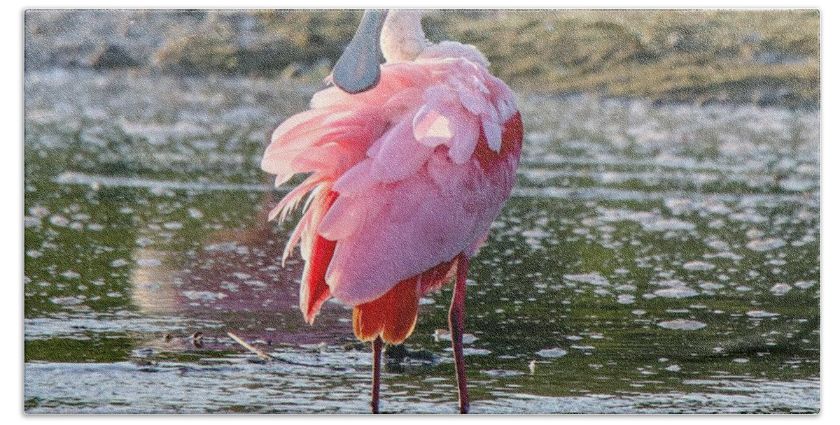 Spoonbill Bath Towel featuring the photograph Pink Tutu by Susan Rydberg