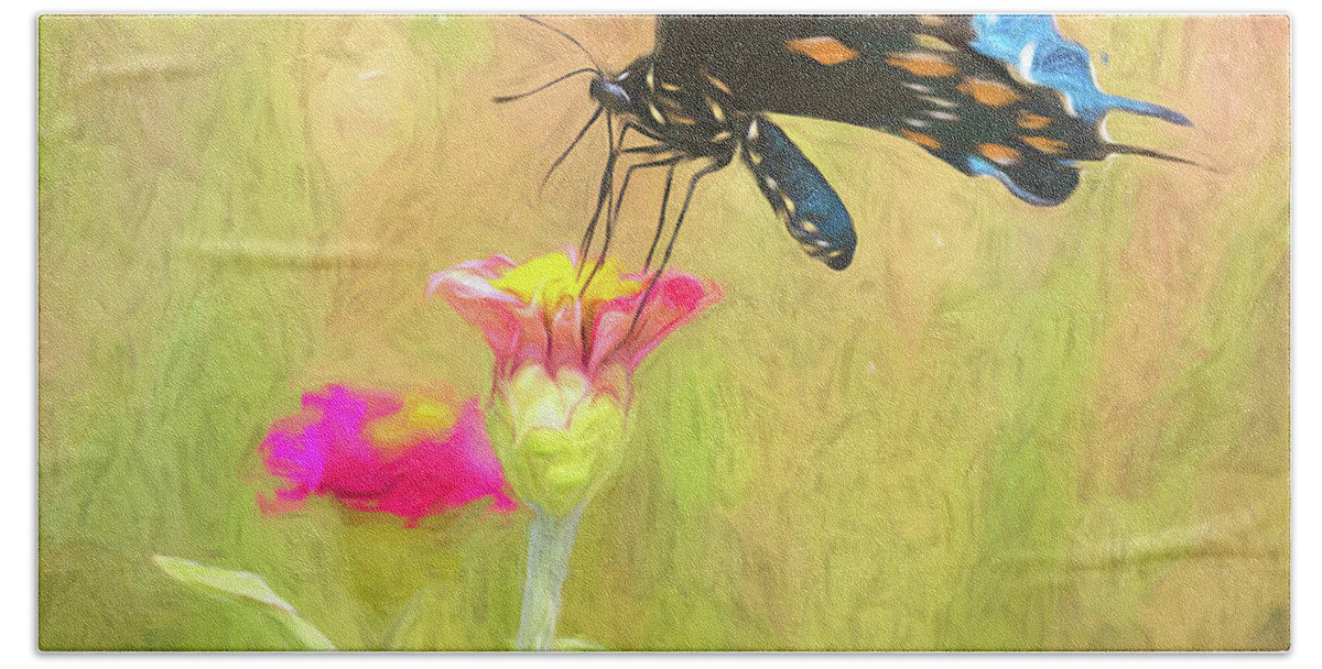 Butterfly Bath Towel featuring the photograph Pipevine Prance by Art Cole
