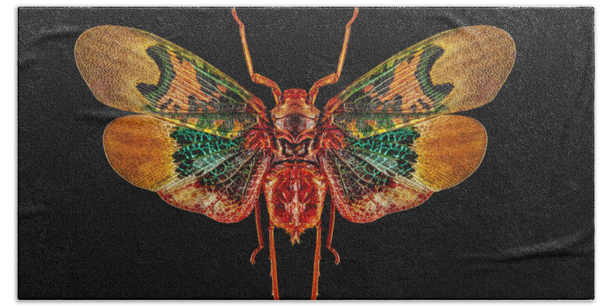 Insect Hand Towel featuring the photograph Planthopper Lanternfly by Gary Shepard