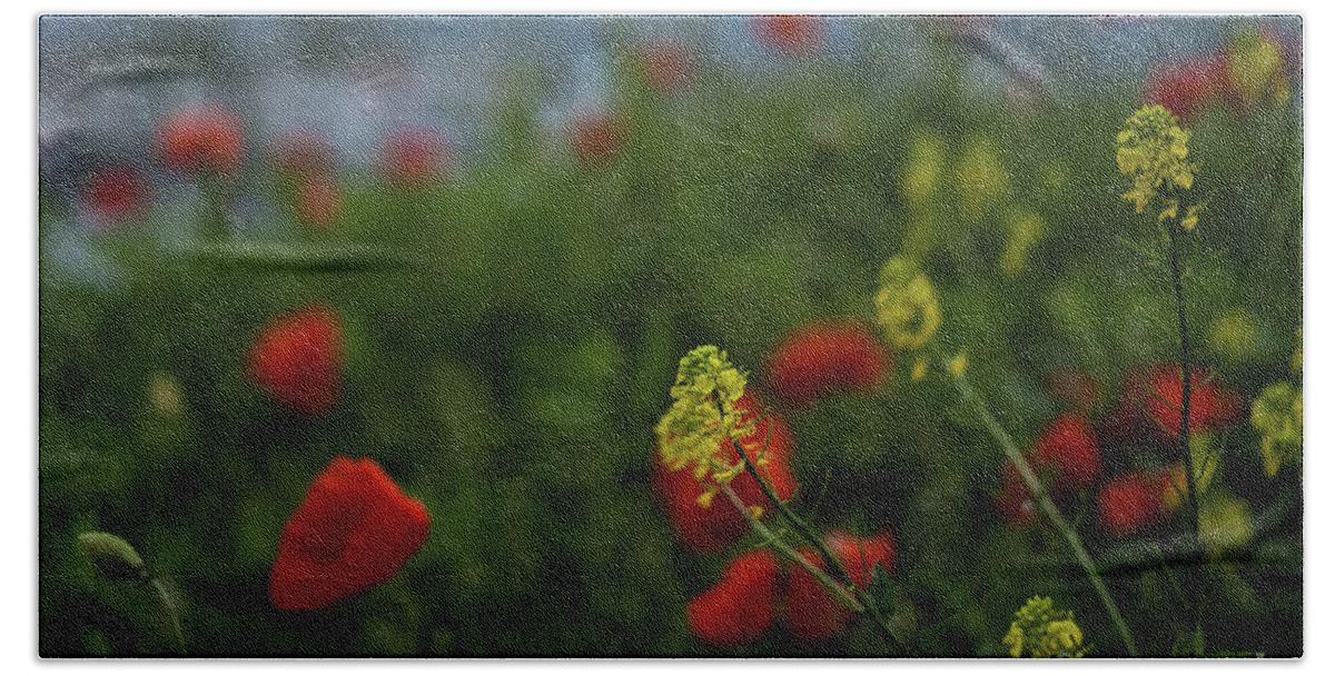 Flowers Hand Towel featuring the photograph Poppy Field by Jan Daniels