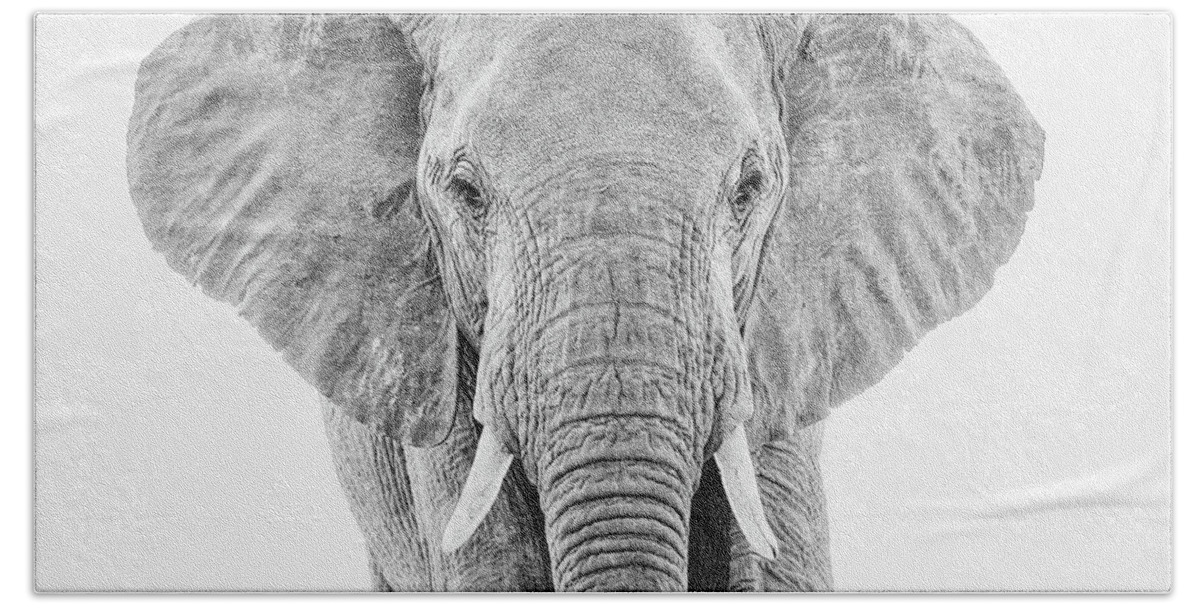 Elephant Hand Towel featuring the photograph Portrait of an African Elephant Bull in Monochrome by Mark Hunter