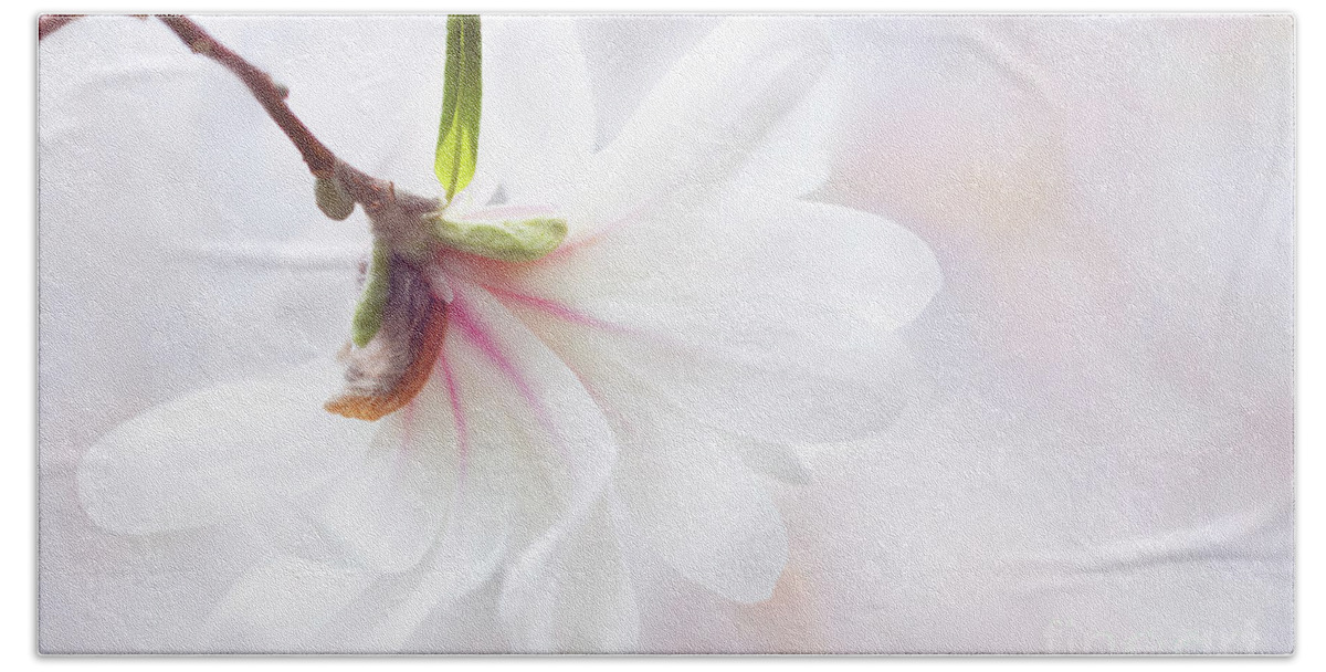 Star Magnolia Hand Towel featuring the photograph Pretty in Pastel Star Magnolia by Anita Pollak