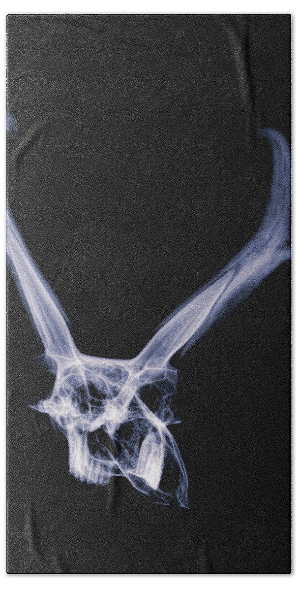 Kansas Hand Towel featuring the photograph Pronghorn x-ray 05 by Rob Graham