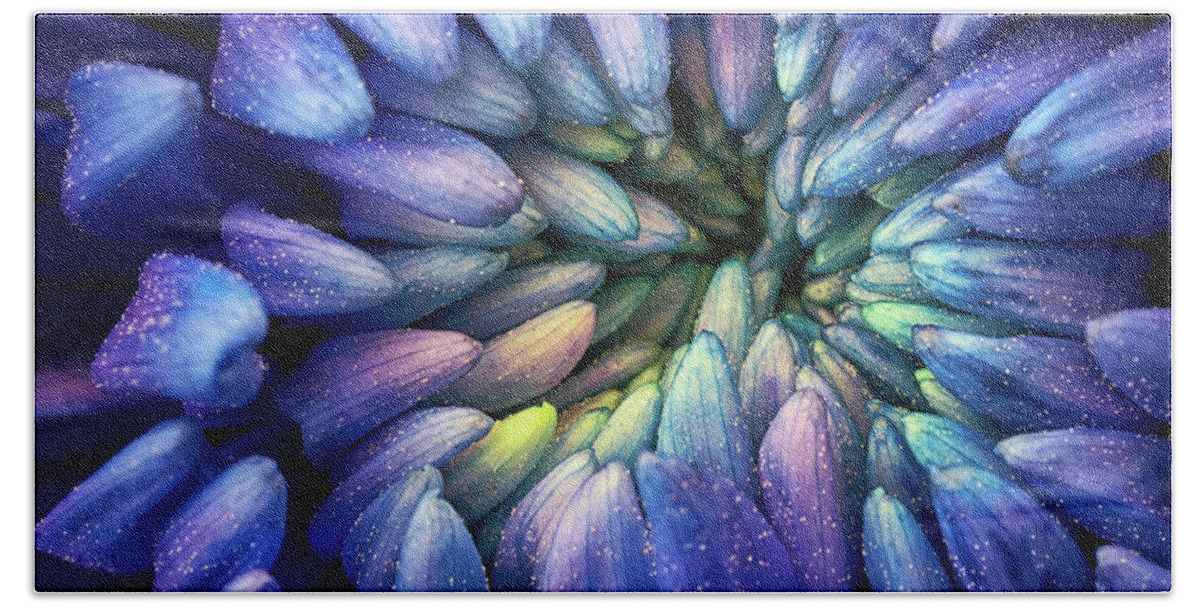 Flower Hand Towel featuring the photograph Purple Flower by Christopher Johnson