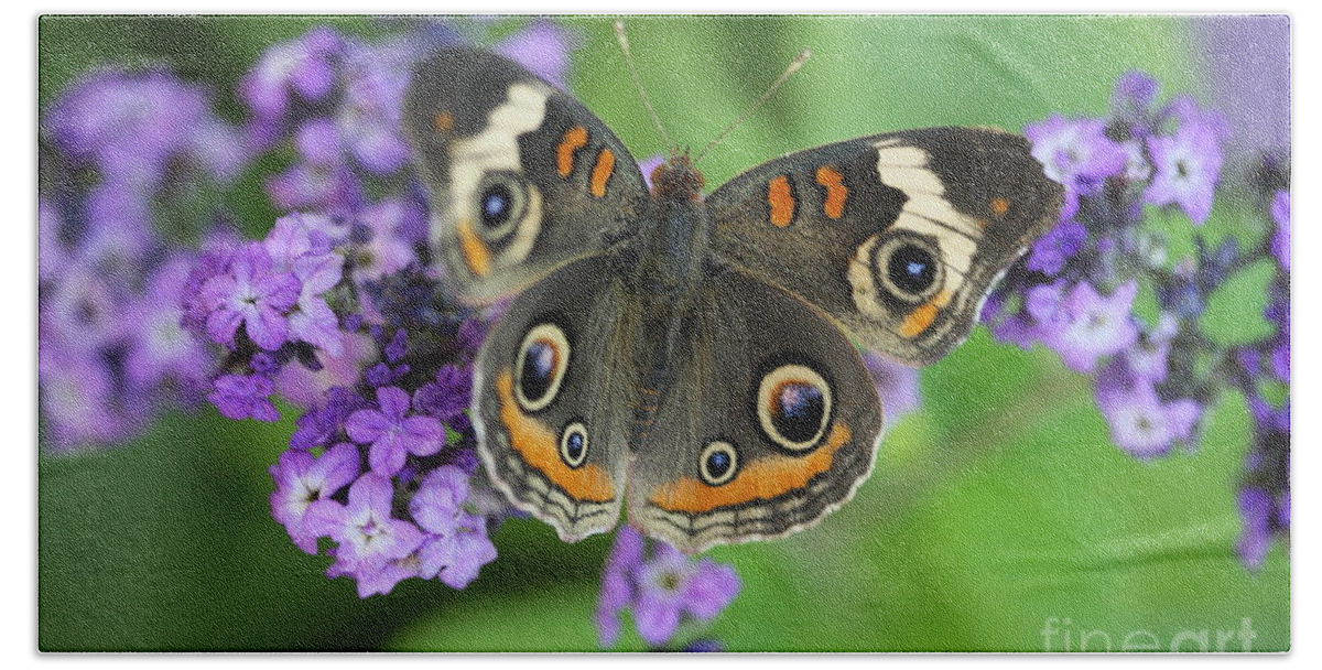 Buckeye Butterfly With Purple Flowers Hand Towel featuring the photograph Purple Flowers and Butterfly by Terri Brewster