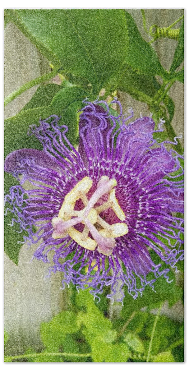 Flower Hand Towel featuring the photograph Purple Passionflower by Portia Olaughlin