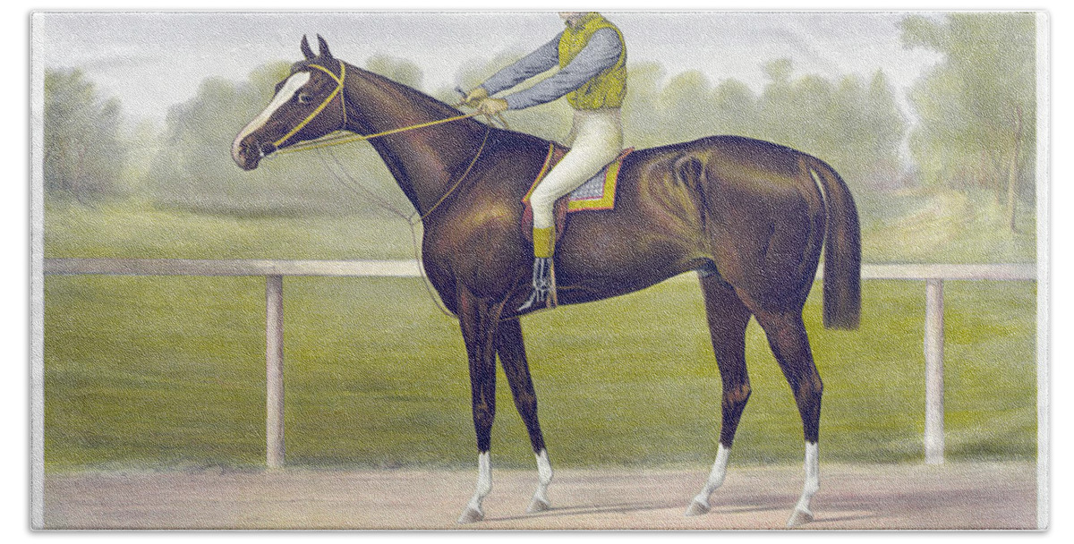 1891 Bath Towel featuring the drawing Race Horse, C1891 by Granger