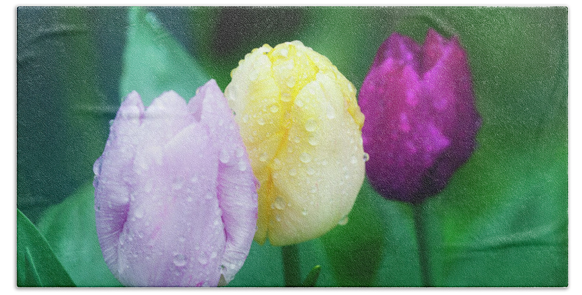 Tulips Bath Towel featuring the photograph Rainy Day Tulips by Terri Waters