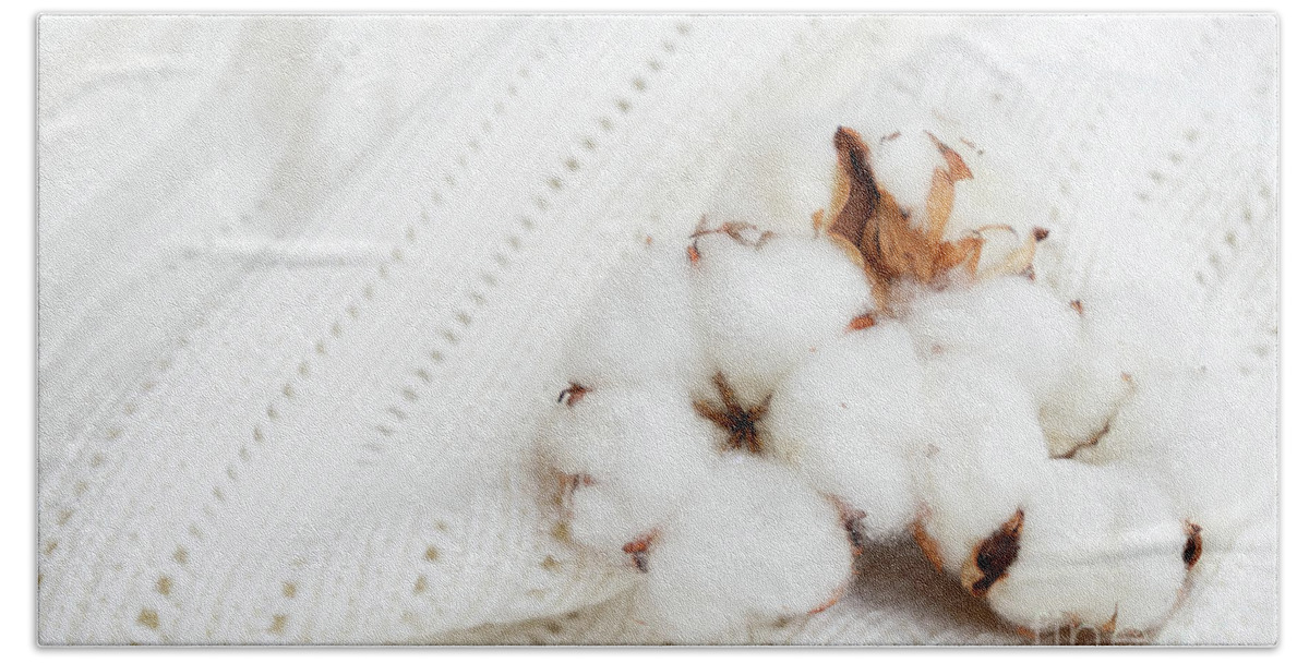 Cotton Hand Towel featuring the photograph Raw cotton by Anastasy Yarmolovich