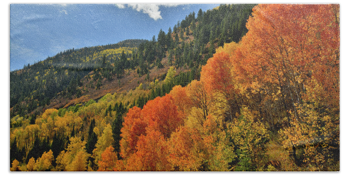 Colorado Bath Towel featuring the photograph Red Aspens Along Highway 133 by Ray Mathis
