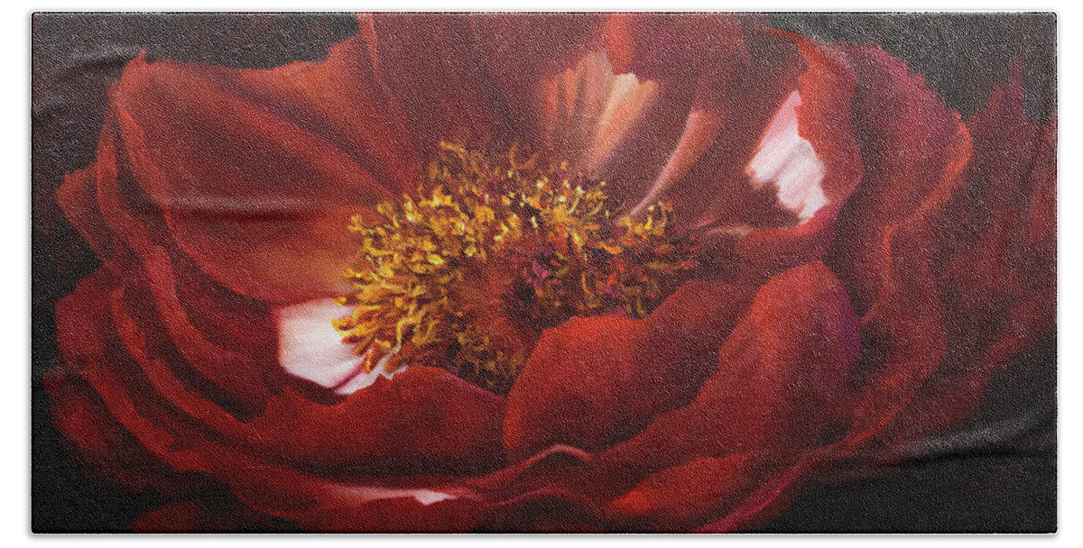 Red Flower Bath Towel featuring the painting Red Peonie Macro Painting by Lynne Pittard