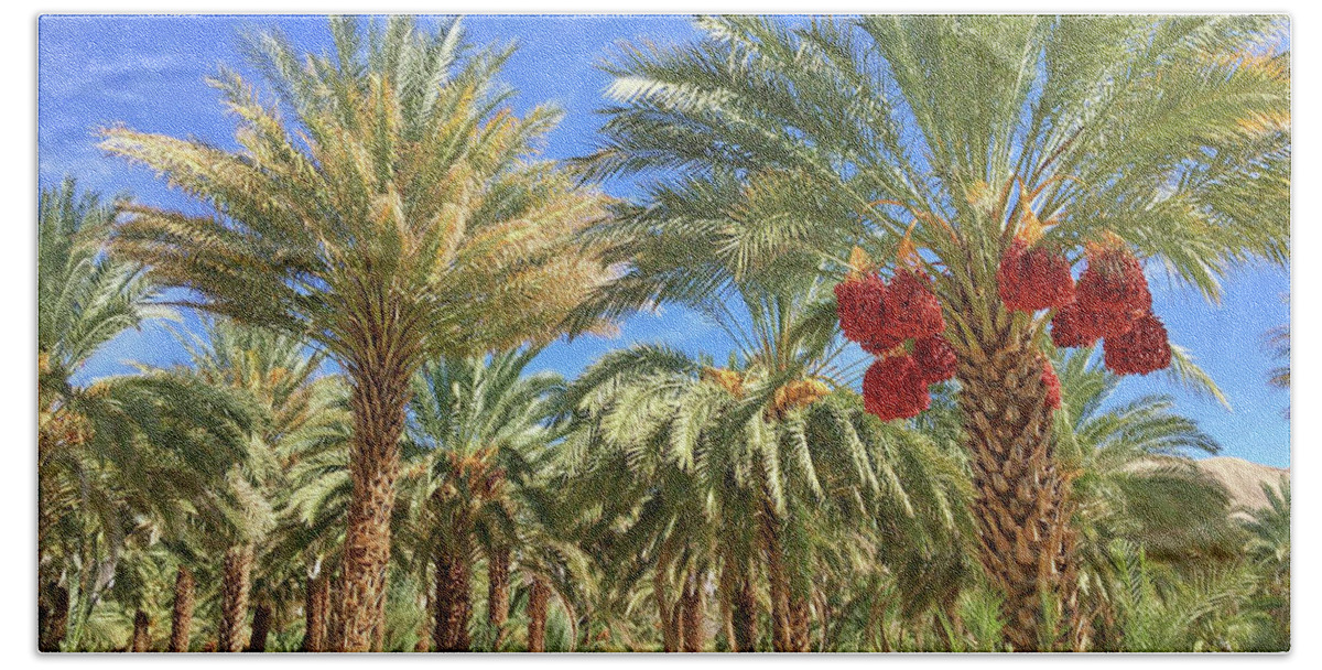 Date Palm. Dates Bath Towel featuring the photograph Red Hot Date by J Marielle