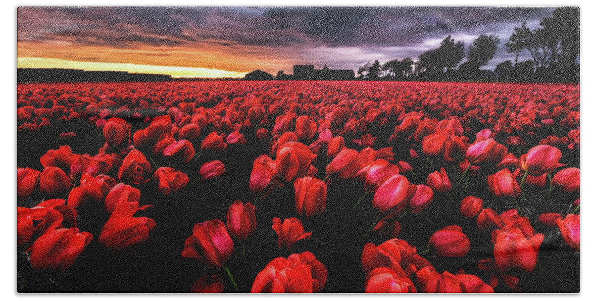 Landscape Hand Towel featuring the photograph Red passion by Jorge Maia