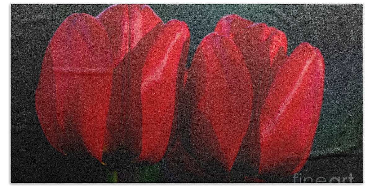Photography Bath Towel featuring the photograph Twin Red Tulips by Alma Danison