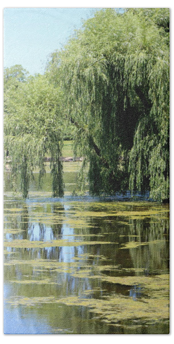 Garden Waters Bath Towel featuring the photograph Reflections from Mother Willow by Colleen Cornelius